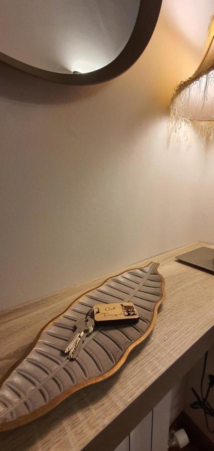 Cal Tranquil Camprodon, Acollidor Atic Al Centre Apartamento Exterior foto
